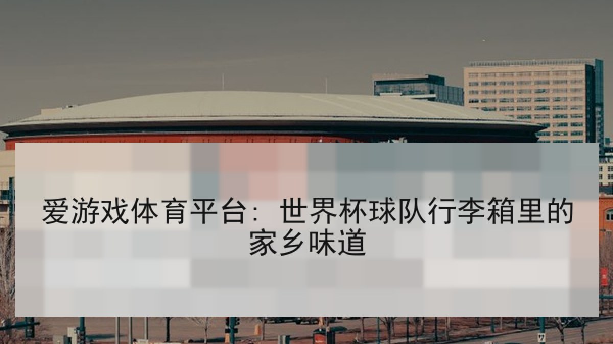 爱游戏体育平台: 世界杯球队行李箱里的家乡味道