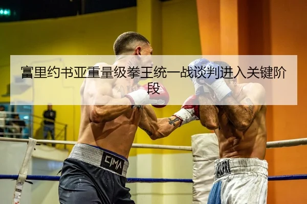 富里约书亚重量级拳王统一战谈判进入关键阶段