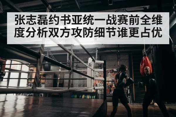 boxer training