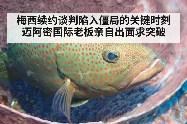 梅西续约谈判陷入僵局的关键时刻 迈阿密国际老板亲自出面求突破