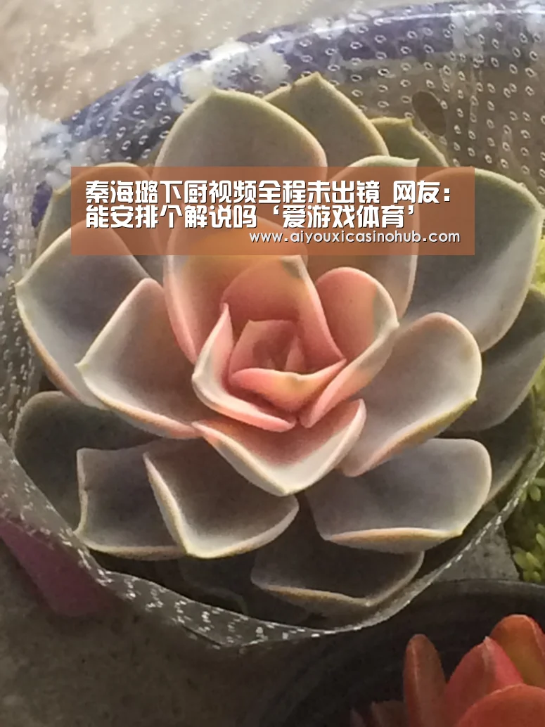 爱游戏下载
