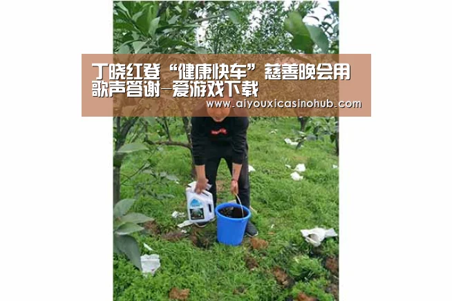 爱游戏下载